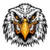eagle mascot clipart