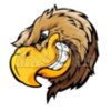 Falcon mascot clipart