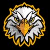 Eagle mascot clipart