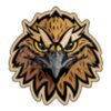 Falcon mascot clipart 