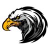 Eagle head mascot clipart