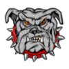 Bulldog mascot clipart
