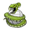 Viper volleyball clipart 