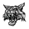 Wildcat head mascot 3