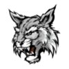 Wildcat mascot head clipart