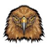 Falcon Head mascot clipart