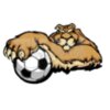 Cougar soccer clipart