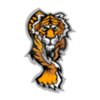 Tiger mascot clipart 4