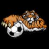 Tiger soccer mascot clipart