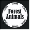 Animals - Forest